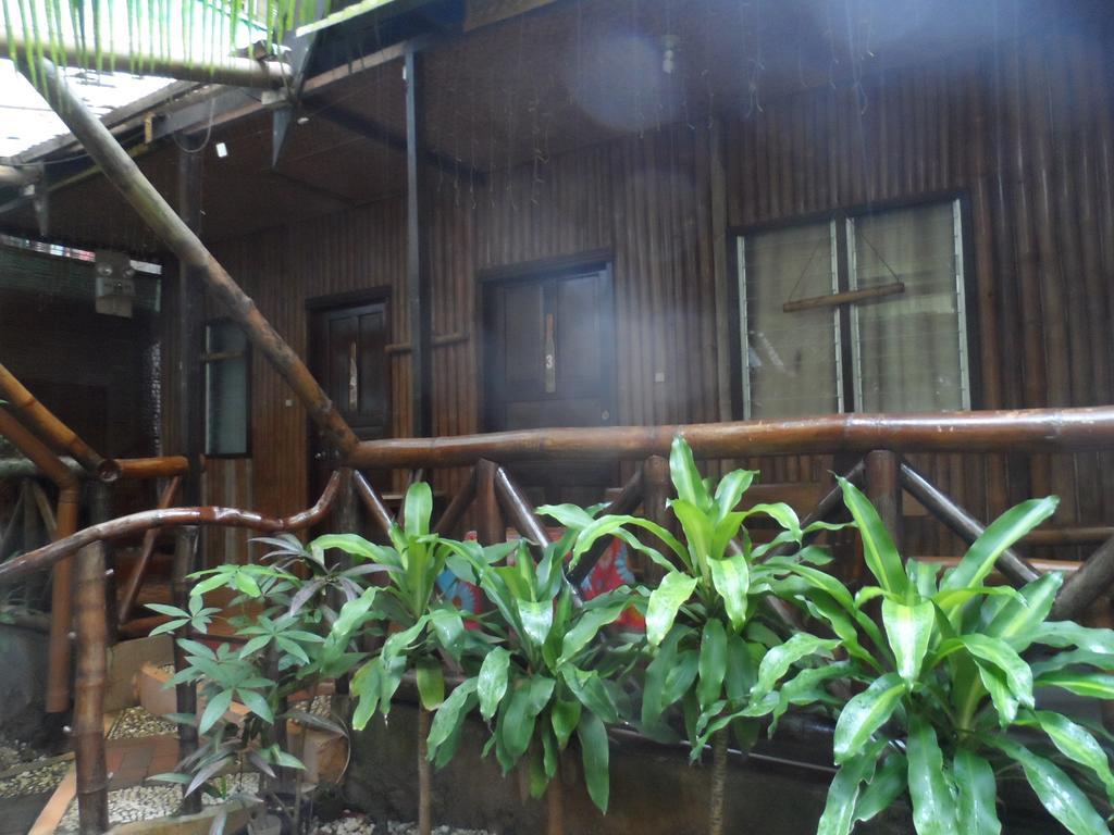 维多利亚别墅旅馆 公主港 外观 照片